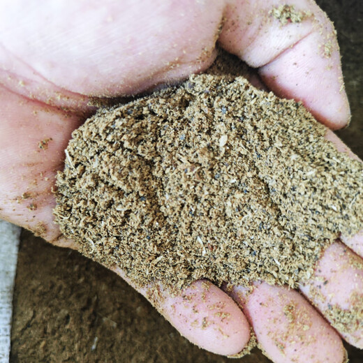 Imported steam fish meal from Peru to feed chickens high protein feed fish meal breeding chicken duck goose pig shrimp breeding fish bone meal 5Jin Jin equals 0.5 kg fish bone meal