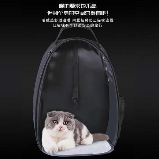 Raumkapsel-Katzentasche, tragbarer Haustier-Reiserucksack, Seitentür, braun, Anti-Stress und lichtbeständig, 15 Jin Jin entspricht 0,5 kg