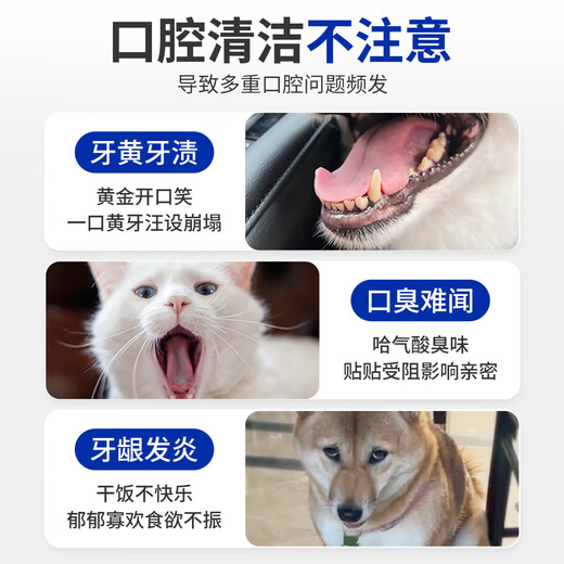 Pet tooth cleaning water 100ml probiotic mouthwash for cats and dogs to remove bad breath, tartar and odor, get 3 bottles, buy 2 get 1 free