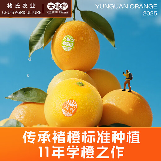 云冠橙净重10斤装2025褚橙官方云南冰糖橙当季新鲜水果礼盒橙子产地直发 优级果云冠橙 5kg