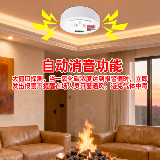 Bolishi carbon monoxide alarm home use to prevent CO poisoning, charcoal burning, honeycomb coal fire, gas alarm, battery induction detector, coal stove smoke detector, artificial gas detector