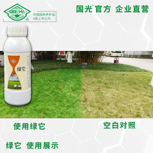 Guoguang Green Turf Lawn Dye Phthalocyanine Green Color Really Adhesive and Long-lasting It Turns Green in One Spray Official Authentic 500ml*1 Bottle