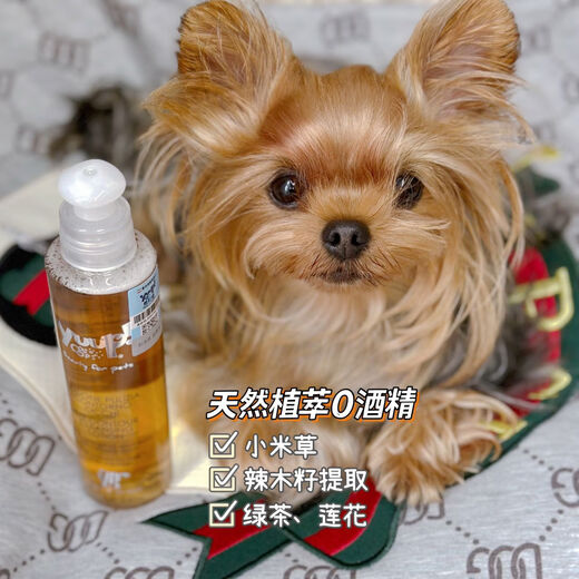 Yuup Eye Care Solution Yuup Italy Vinita Maltese Persian Cat Pet Tear Stain Cleaning 300ml - Liquid Witch Hazel Chamomile 300ml