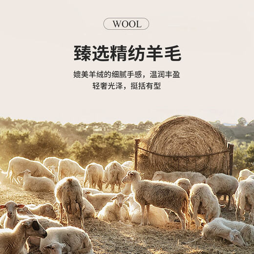 Antonio high-count worsted wool & two-piece suit, simple and light luxury men's high-end business suit formal dress