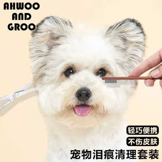 Clearance sale, professional pet grooming set, tear comb, scissors, cat and dog cleansing and combing grooming scissors, great value set, scissors + long comb + short comb