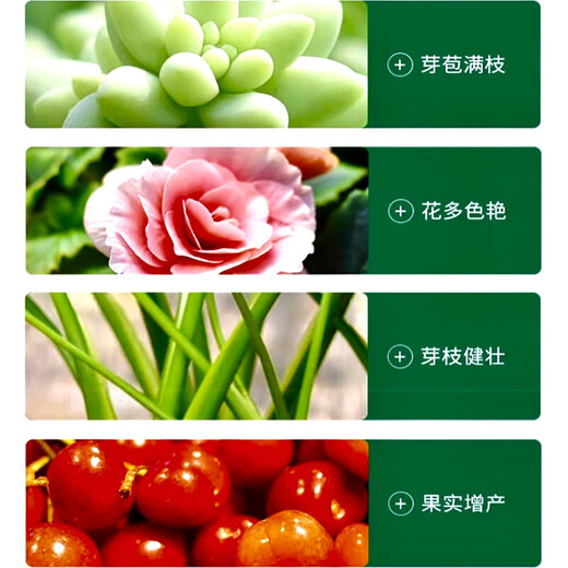 Russia imported compound fertilizer for vegetable farming, nitrogen, phosphorus and potassium fertilizer for flowers, fruit trees and vegetables, 100Jin Jin is equal to 0.5kg, original packaging