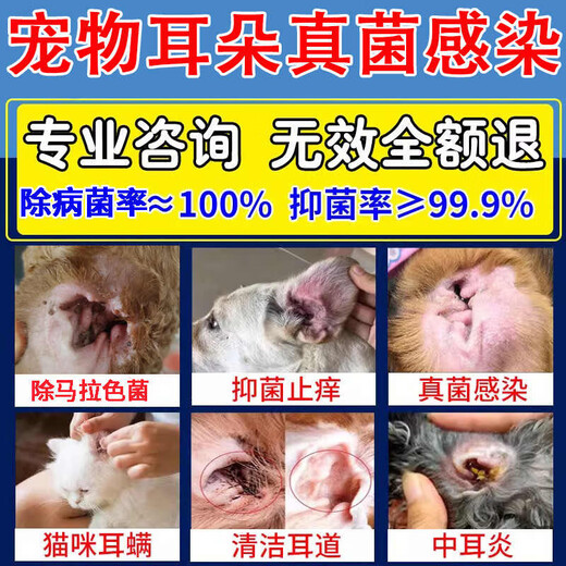Malassezia ear medicine pet ear cleaning, removing mites, otitis media, earwax, itching, antibacterial cleaning, special ear drops 1 bottle 50ml, special for Malassezia