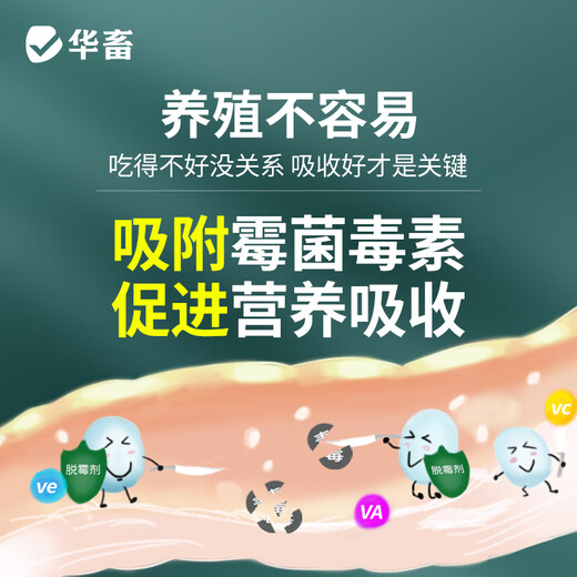 Huazhu Huangchima mold removal agent for pregnant animals can be used for sows, cattle and sheep feed additives biological mold removal and degradation to maintain nutrition. Biological mold removal agent 450g