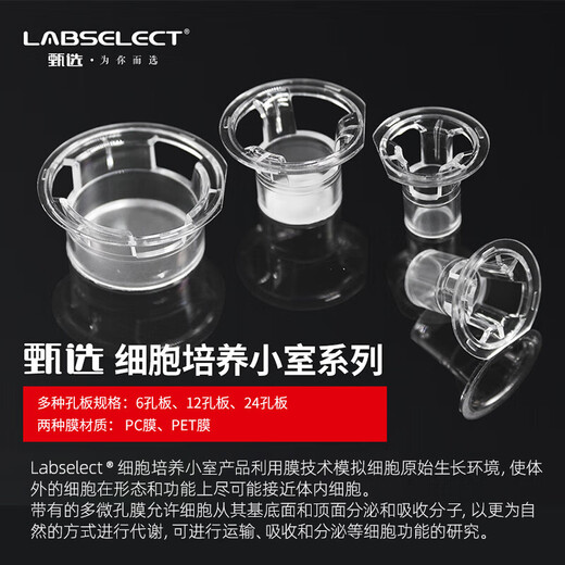 Er Jiangong 6-Well 12-Well 24-Well / Membran-Zell-Kammer-Kulturplatte Transwell 6-Well 3,0um Polyestermembran 14 12-Well 3,0um Polyester PET-Membran 14222