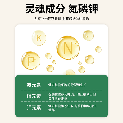 Plant nutrient solution, universal household potted money tree, rich bamboo and green dill, hydroponic flower and green plant vegetable fertilizer, nutrient solution 2500ml, one bottle worth 5 bottles