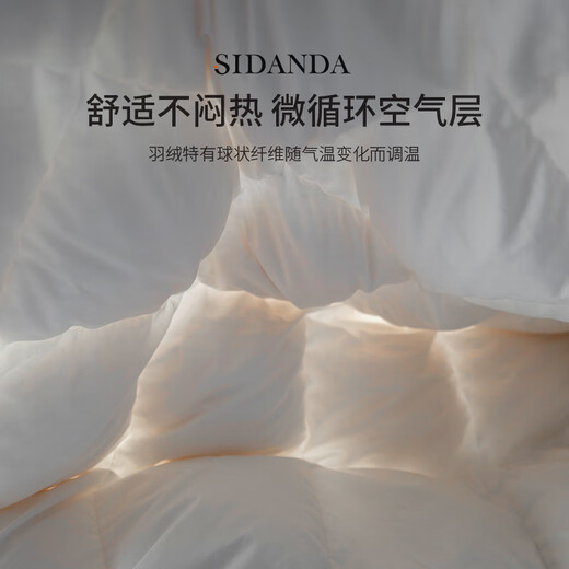 SIDANDA down quilt 4A grade 95 white goose down 100 count cotton antibacterial thickened winter quilt 220*240cm