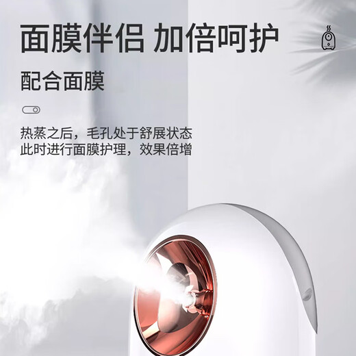 DIKTT German facial steamer, hot and cold spray, facial steamer, beauty salon, nano spray, hydrating artifact, beauty instrument, facial open pores, hot spray steamer, household facial steamer, top version, party powder, constant temperature hot spray, nano large spray