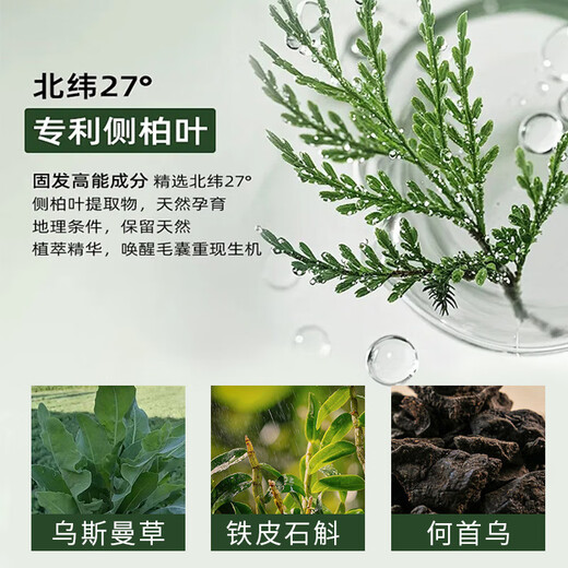 Hong Kong Pharmacy Co., Ltd. Arborvitae Leaf Usman Grass Shampoo Soap Handmade Hair Shampoo Soap Polygonum Multiflorum Firming Anti-Breakage, Oil Removal and Anti-dandruff Shampoo Nourishing and Firming Hair 1 Box/120g