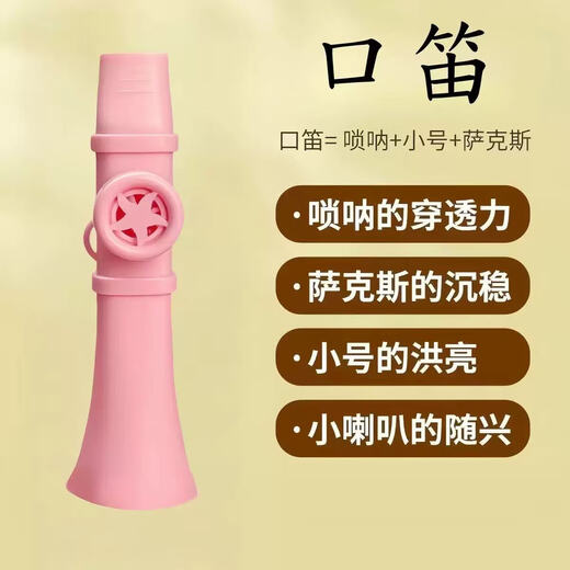 Kazoo professional playing metal guitar ukulele accompaniment simple and easy to learn flute instrument for beginners kazoo-pink