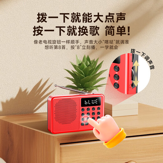Newman (Newsmy) L1 radio for the elderly rechargeable plug-in card mini portable small opera player multi-functional small speaker 2025 new model
