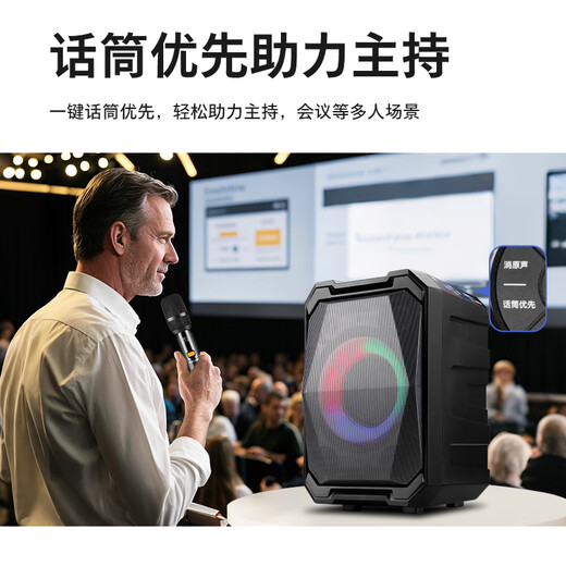 Philips (PHILIPS) square dance audio outdoor stage high-power mobile portable trolley speaker wireless Bluetooth high-volume karaoke amplification with dual microphone SD308