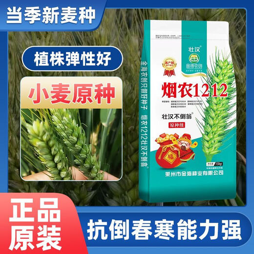 Strong man, original seed grade, Tobacco Nong 1212 wheat seed, genuine, high-yielding, drought-resistant and frost-resistant winter wheat seed, a new variety of winter wheat seed, high-purity wheat seed approved by both countries, 15 kg, original seed grade