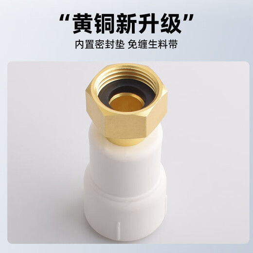 Golden Horn Taurus PPR water pipe accessories 4 minutes 20 hot melt live direct tap water pipe joint connector white 2 pieces