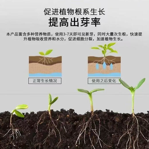 Plant bursting buds, buds, succulent leaf inserts, germination promotion, household flower growing fertilizer, old pile plant clear leaf fertilizer, old pile dry yellow leaves first aid, new buds grow, 2 barrels 5000ml