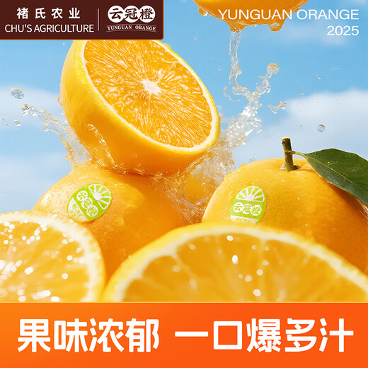 云冠橙净重10斤装2025褚橙官方云南冰糖橙当季新鲜水果礼盒橙子产地直发 优级果云冠橙 5kg
