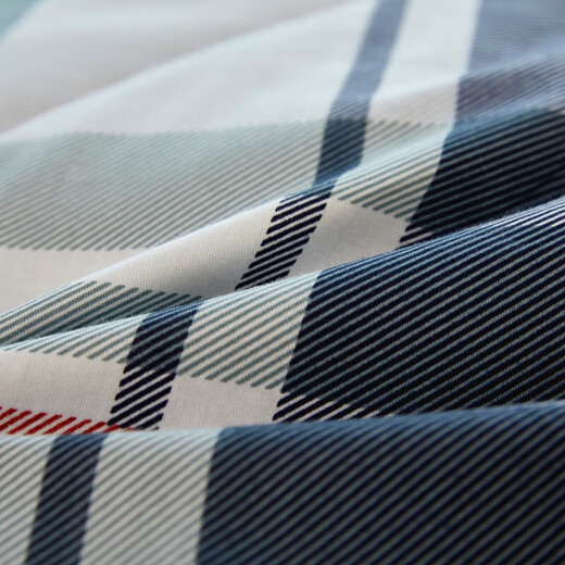 New 100% cotton beanie quilt machine washable spring and autumn quilt winter quilt summer quilt air-conditioned quilt double dormitory quilt core own style comfortable and soft 180x220cm5Jin Jin equals 0.5kg spring and autumn quilt