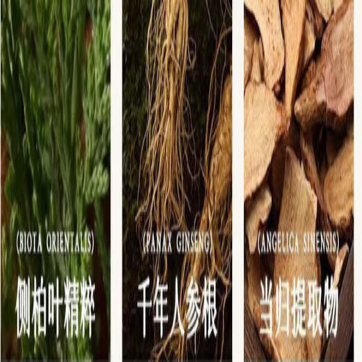 Lei Yunshang anti-hair loss elastin, ginger, Polygonum multiflorum, Platycladus orientalis leaves, hair growth and oil control, fluffy soapberry extract, cleansing and oil removal 1 bottle, certified anti hair loss/effective improvement shampoo + plastic film 300mL Lei Yunshang anti hair loss shampoo