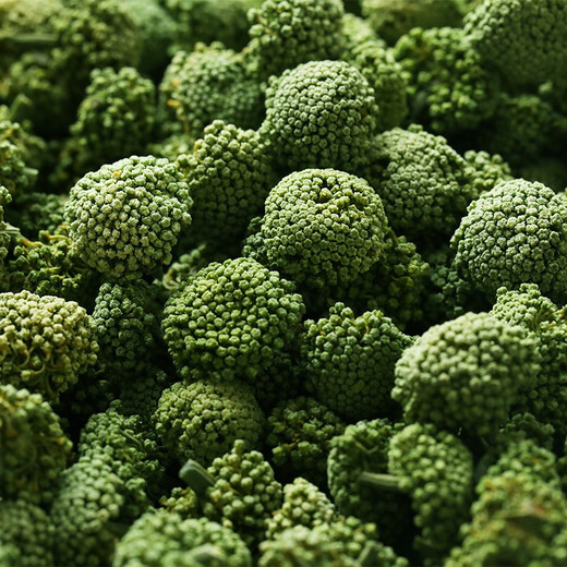 福美柒三七花头茬新花 云南三七花茶 精选四年花 特级文山三七花茶250克 田七花泡茶的功效500克 精选当季新三七花【250克】