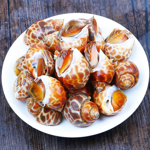 Xianchi Flower Snails Fresh Fresh Frozen Conch Extra Large Dongfeng Snail Extra Large Deep Sea Shellfish Seafood Wholesale Extra Large No Sand Net Weight 1500g