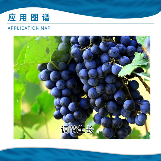 Rongya cyanamide grape germination promoting bud break agent early germination cyanamide ammonium hydrogen regulator growth regulator 250ml (bud deli)