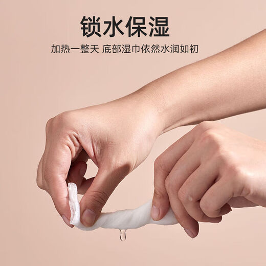 Sanqihu Wet Wipes Heater Rechargeable Smart Baby Wet Wipes Warmer Baby Wet Wipes Thermostat Warm Wet Wipes Mint Green - Baby Grade Material Constant Temperature Smart Model - Cannot Adjust Temperature