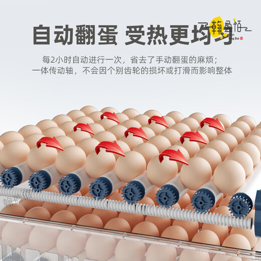 RSRDDY egg incubator household fully automatic small water bed small egg rutin incubator machine intelligence 36 pieces of intelligent single electric temperature + number of days