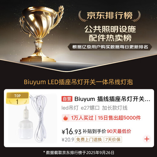 Biuyum plug socket chandelier switch extension cord hanging LED energy-saving lamp with cord plug integrated lamp E27 screw socket two plugs 8 meters light cord + 1 40W bulb