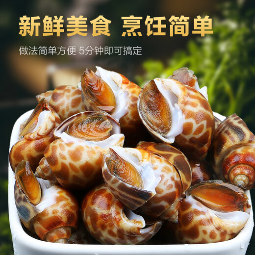 Xianchi Flower Snails Fresh Fresh Frozen Conch Extra Large Dongfeng Snail Extra Large Deep Sea Shellfish Seafood Wholesale Extra Large No Sand Net Weight 1500g