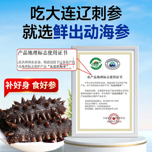Fresh out of Dalian ready-to-eat sea cucumbers, sea cucumbers, sea cucumbers, sea cucumbers, sea cucumbers, dried goods 7-13 heads, net weight 500g