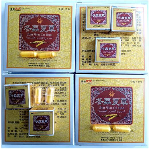 从容硬对香港大大虫草王虎虎生威冬虫夏草小盒真功夫 实惠装18粒