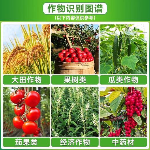 10% benzylaminol rice wheat fruit tree tomato enlarged fruit pesticide plant growth regulator 100g