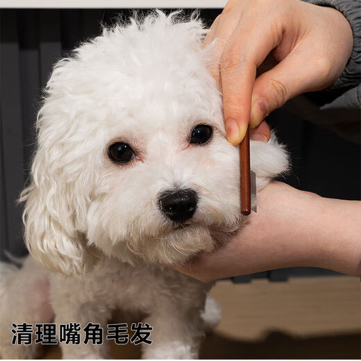 Clearance sale, professional pet grooming set, tear comb, scissors, cat and dog cleansing and combing grooming scissors, great value set, scissors + long comb + short comb