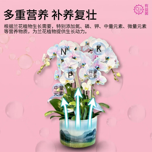 Special fungi for flowers, microbial inoculant, root strengthening, root root prevention, root rot prevention, water-soluble fertilizer, orchid bacteria powder, fertilizer, plant live bacteria powder, plant live bacteria powder 250g, basic version, 2 bottles, 99% of people choose