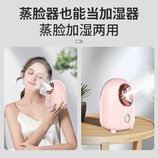 DIKTT German facial steamer, hot and cold spray, facial steamer, beauty salon, nano spray, hydrating artifact, beauty instrument, facial open pores, hot spray steamer, household facial steamer, top version, party powder, constant temperature hot spray, nano large spray