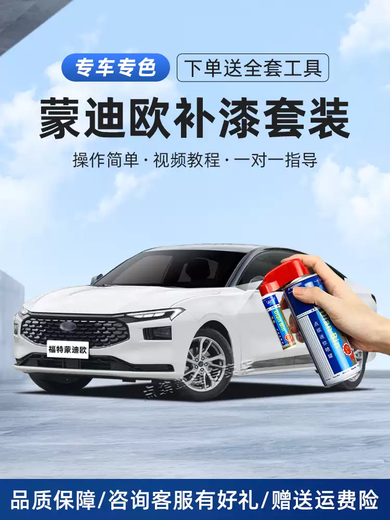 Mi Lan applies Ford Mondeo touch-up pen, Mingyue White car scratch repair artifact, Neon Gray winning self-spray paint, Tanzanite Blue 18-20 Mondeo touch-up paint set