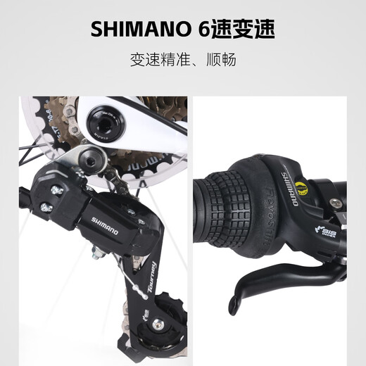 Xidesheng folding bicycle 25 models W5 transmission 6 speed moonlight white 20 inches