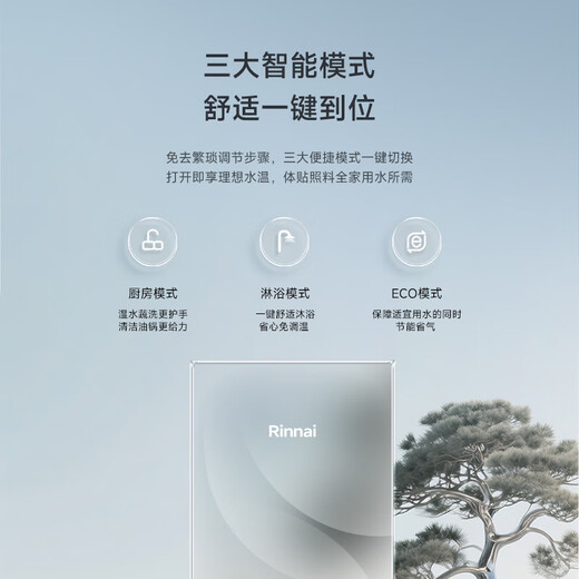 Rinnai Master Series 16L Gas Water Heater Household Water Servo Constant Temperature Water Heater Six-Drive Constant Temperature 0.5 Temperature Adjustment 16GD73 (JSQ31-GD73)