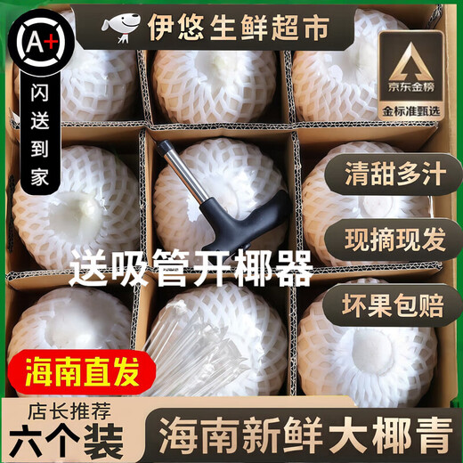 Guo Yishou Hainan Peeled Green Coconut, delivered to your home quickly, sweet and fresh coconut for pregnant women, fruit replenishing amniotic fluid, tender green coconut, coconut with skin, single fruit 3-5 Jin Jin is equal to 0.5 kg, about 2 pieces, free coconut opener + straw