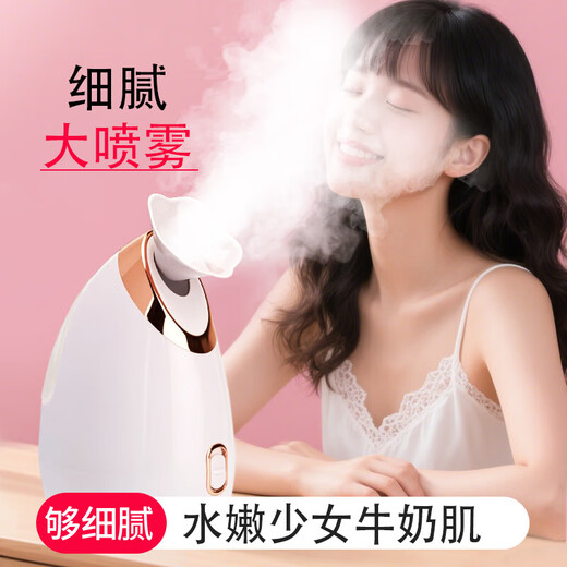Hot spray facial steamer to hydrate and moisturize, household facial steamer, beauty instrument, delicate spray machine, facial humidifier, nano spray to hydrate, girlfriend and elders Christmas gift 904 red