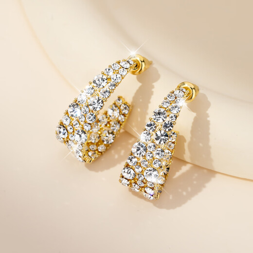 Yalundi's unique earrings to support pierced ears, silver earrings, 2025 new hot style women's light luxury, high-end, elegant and atmospheric ear jewelry