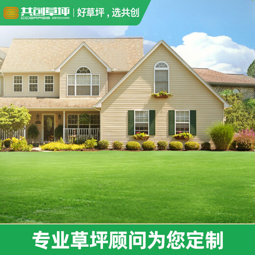 Co-create lawn household high-end villa courtyard lawn simulation outdoor yard fake lawn green insulated roof lawn artificial grass height 60m thickened and encrypted ordinary style (1 square meter)
