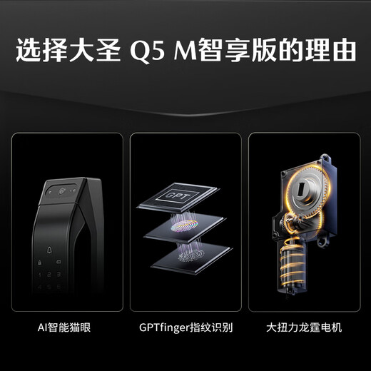 德施曼（DESMAN）全自动智能锁指纹锁密码锁智能门锁 可视智能猫眼 大圣 Q5M智享版