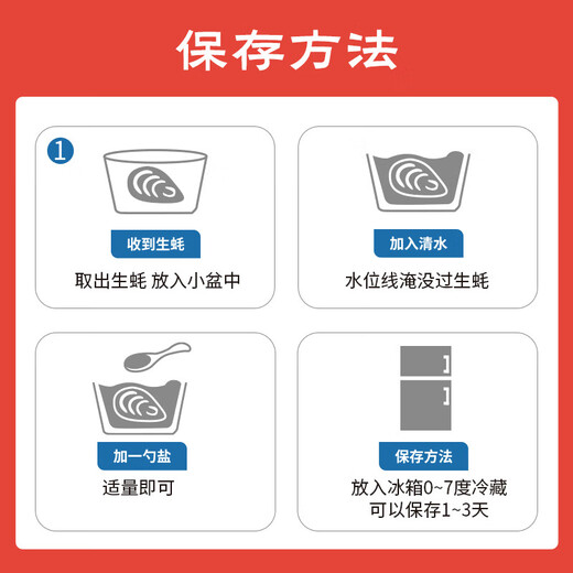 Fresh Jingcai Fresh Oysters 6XL Net weight 5Jin Jin is equal to 0.5kg 6-8 oysters Fresh to your home Fresh seafood Straight from the source