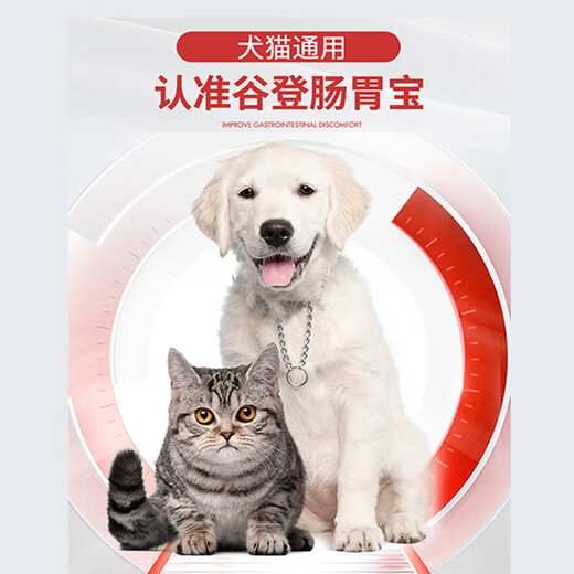 Goodeng Gastrointestinal Treasure, probiotic enzyme bacteria for pet cats and dogs, probiotics for dogs, cats and puppies, Goodeng Gastrointestinal Treasure 1 box (5g*10 packs)