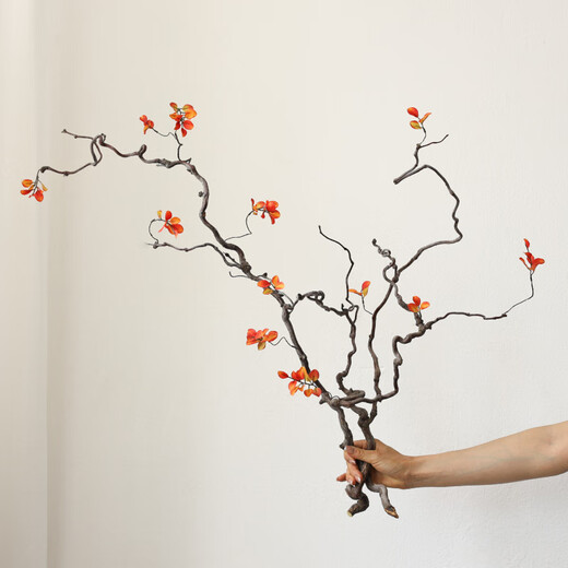 Dragon jujube branches branches Zen wabi-sabi air-dried flowers vase flower arrangement living room hotel model room decoration ornaments maple leaf dragon jujube branch 1 long branch 1 short branch random shape